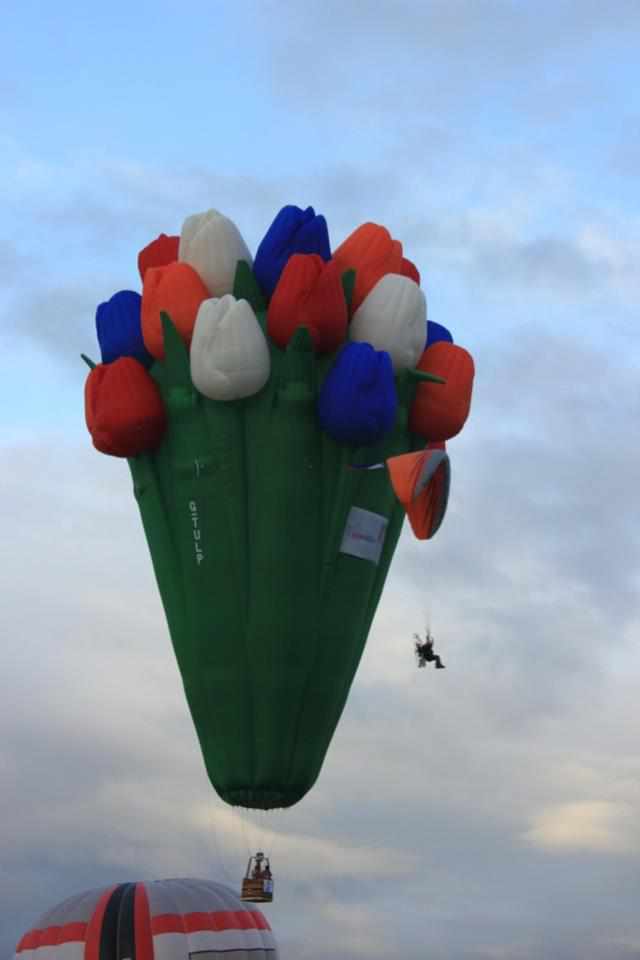 Detail Tulip Hot Air Balloon Nomer 22