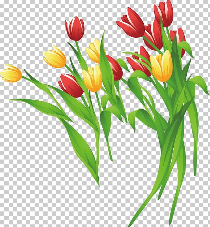 Detail Tulip Vector Png Nomer 41