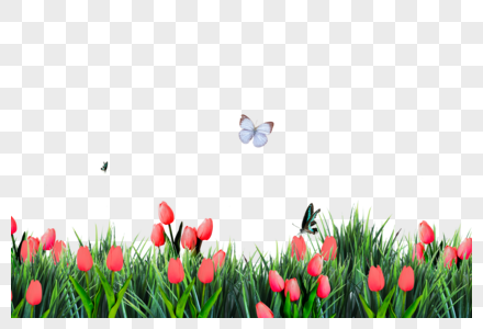 Detail Tulips Png Nomer 20