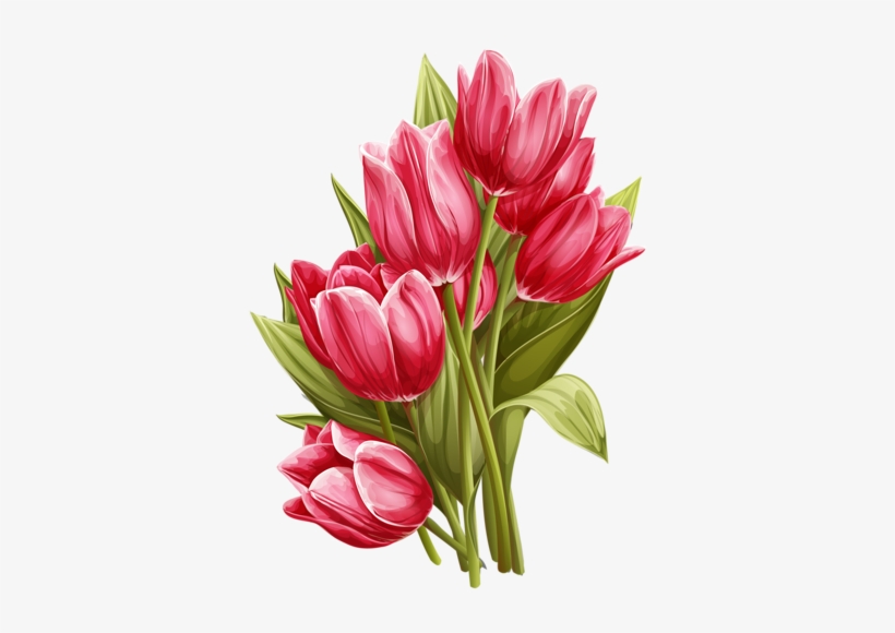 Detail Tulips Png Nomer 45