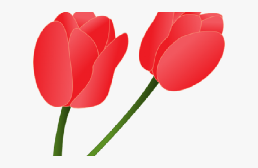 Detail Tulips Transparent Background Nomer 43