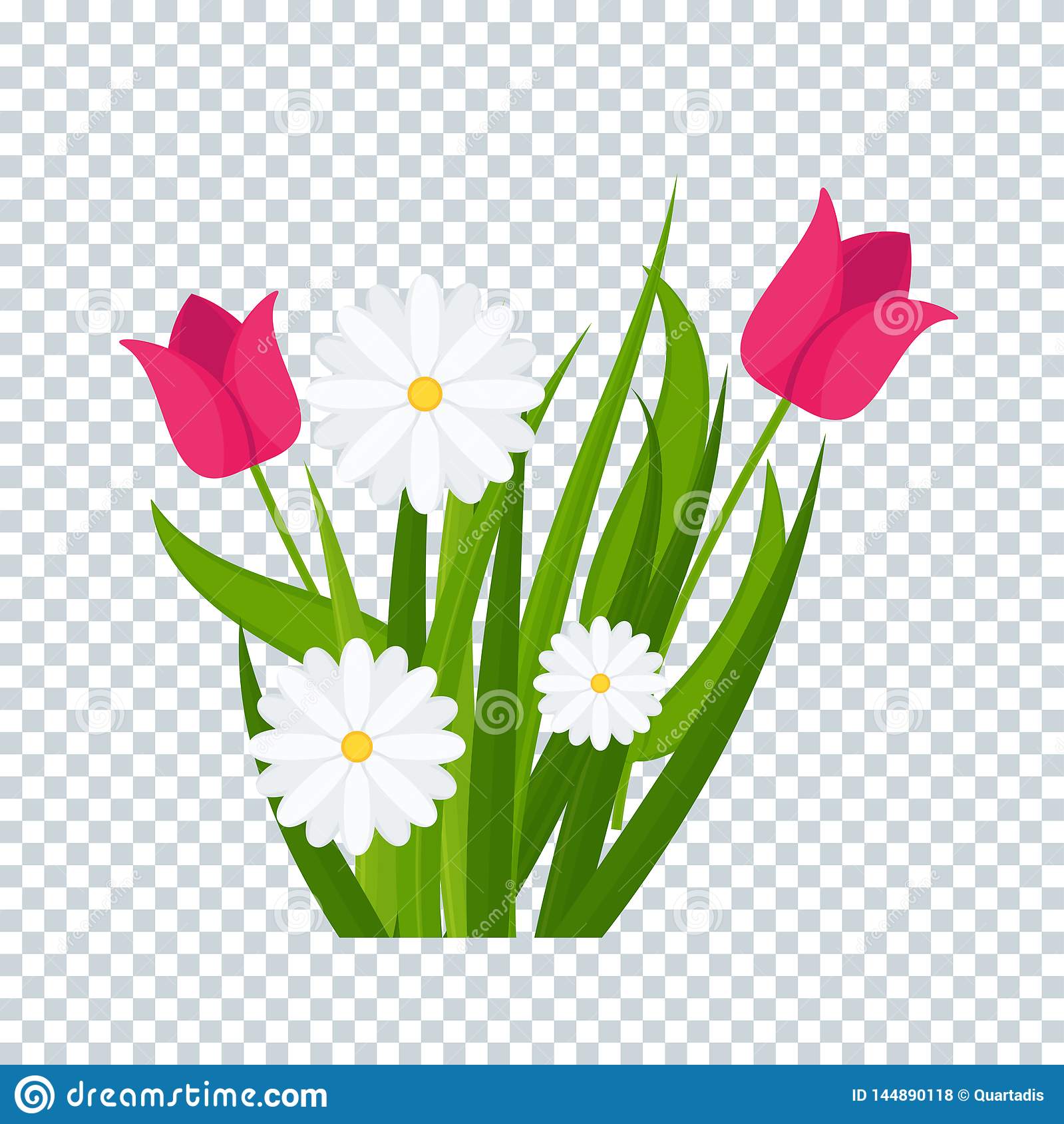 Detail Tulips Transparent Background Nomer 46