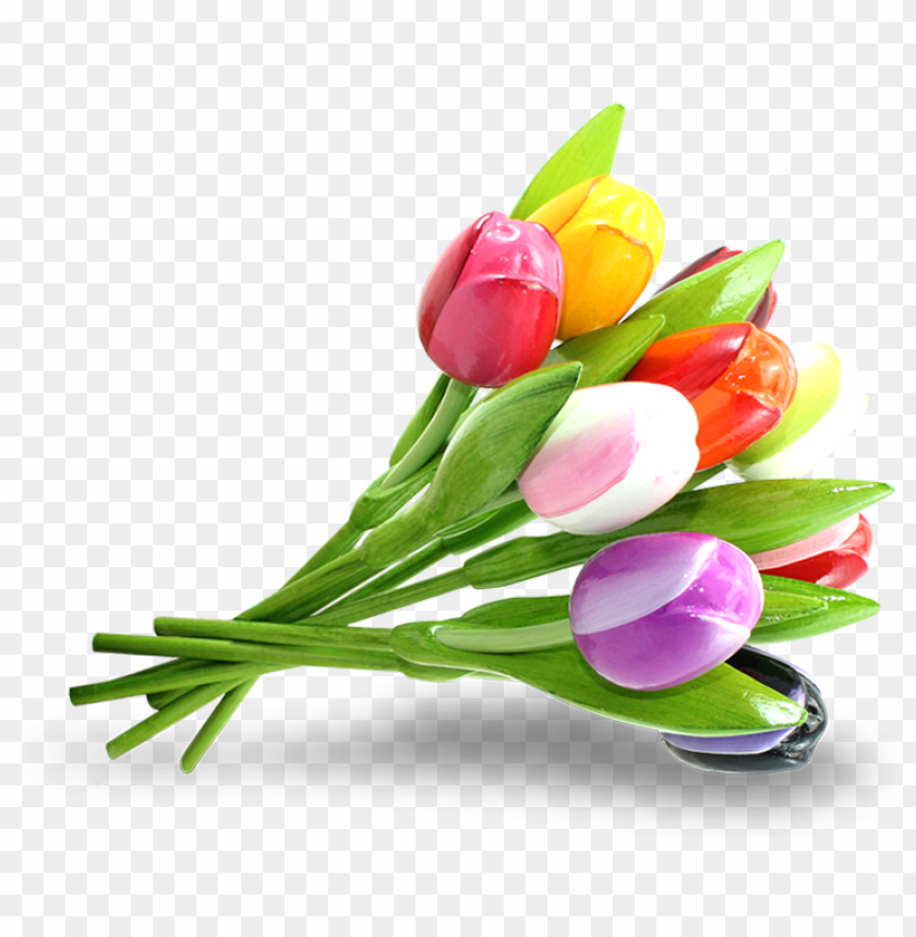 Detail Tulips Transparent Background Nomer 47