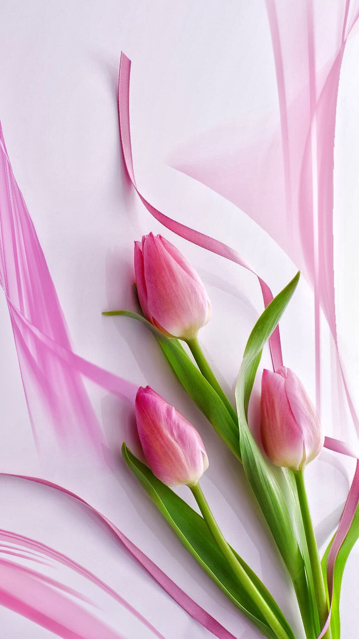 Detail Tulips Wallpaper Iphone Nomer 14