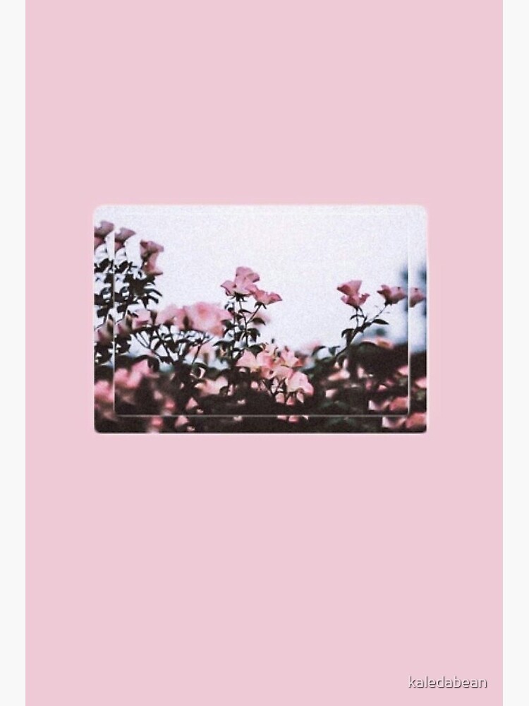 Detail Tumblr Aesthetic Pink Nomer 13