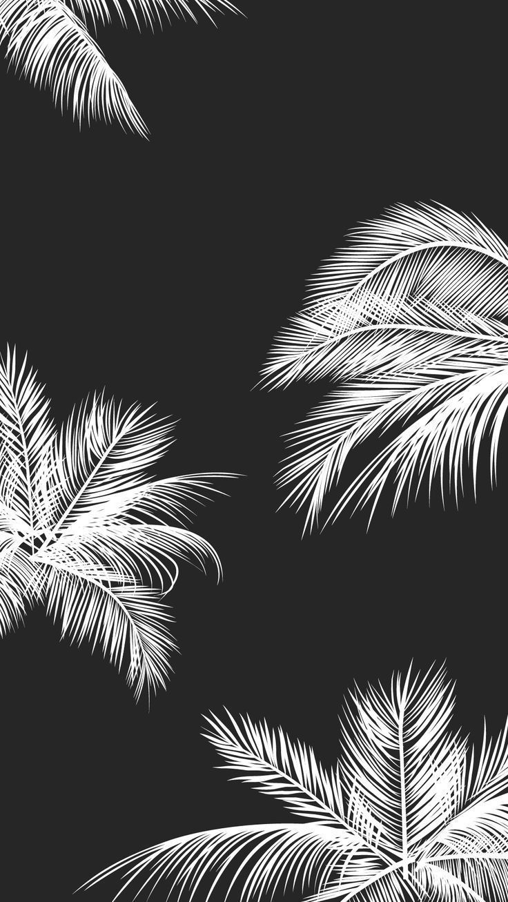 Detail Tumblr Backgrounds Black And White Pattern Nomer 4