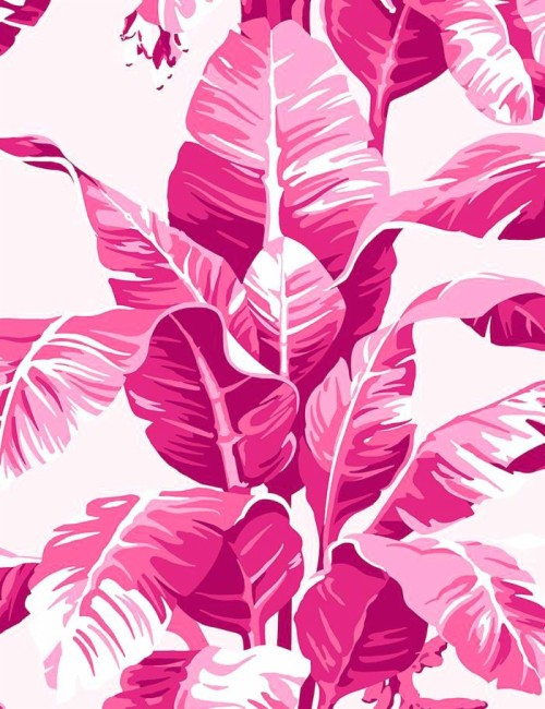 Detail Tumblr Backgrounds Pink Nomer 47