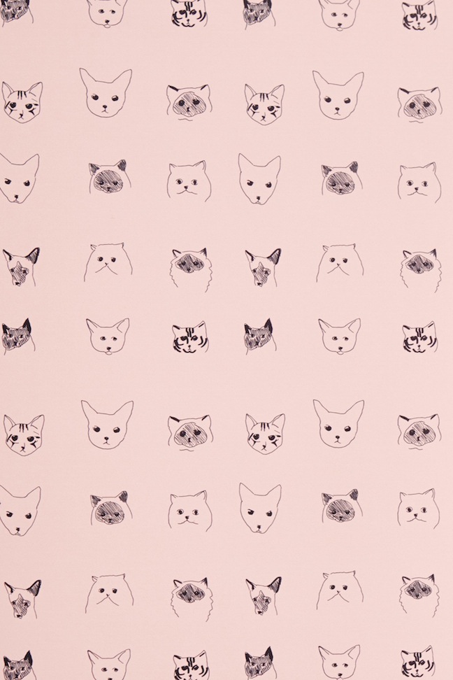 Detail Tumblr Cat Wallpaper Nomer 45