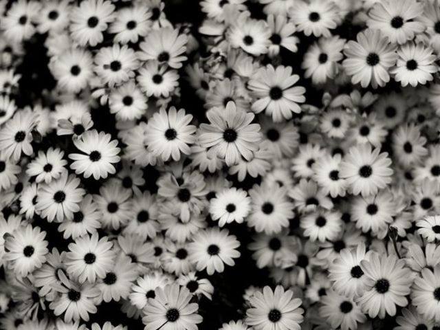 Detail Tumblr Laptop Wallpaper Black And White Nomer 4