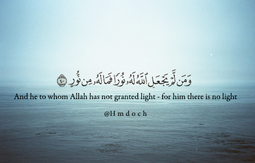 Detail Tumblr Quran Quotes Nomer 21