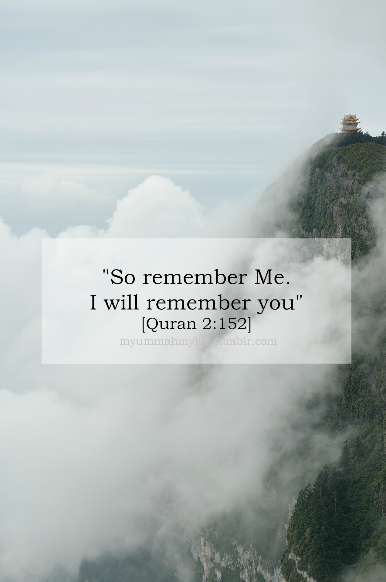 Detail Tumblr Quran Quotes Nomer 57