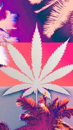 Detail Tumblr Weed Backgrounds Nomer 26