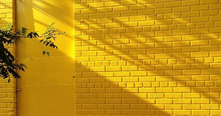 Detail Tumblr Yellow Background Nomer 44