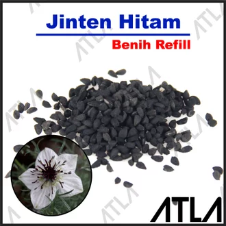 Detail Tumbuhan Jintan Hitam Nomer 28