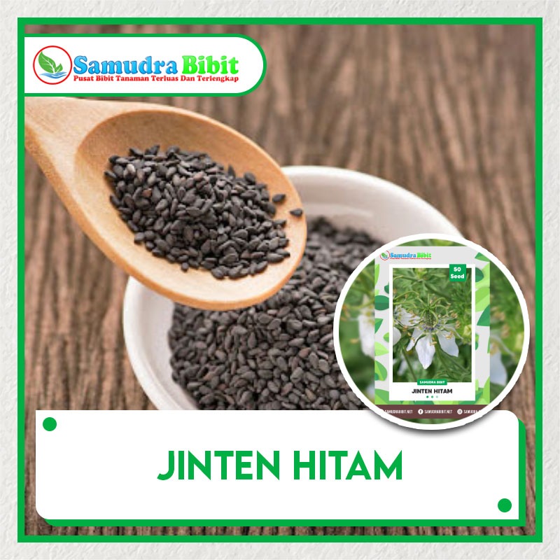 Detail Tumbuhan Jintan Hitam Nomer 47