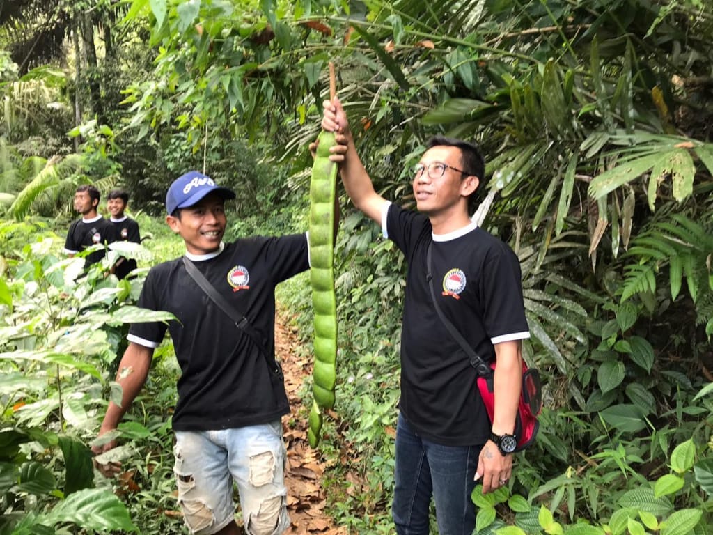 Detail Tumbuhan Merambat Di Hutan Nomer 29