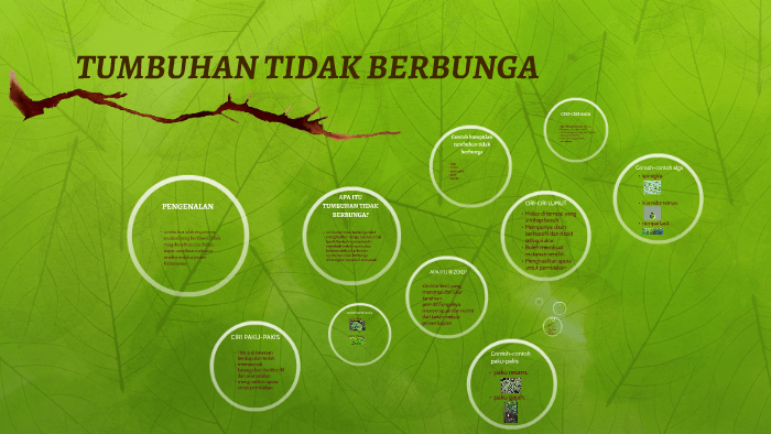 Detail Tumbuhan Tidak Berbunga Nomer 13