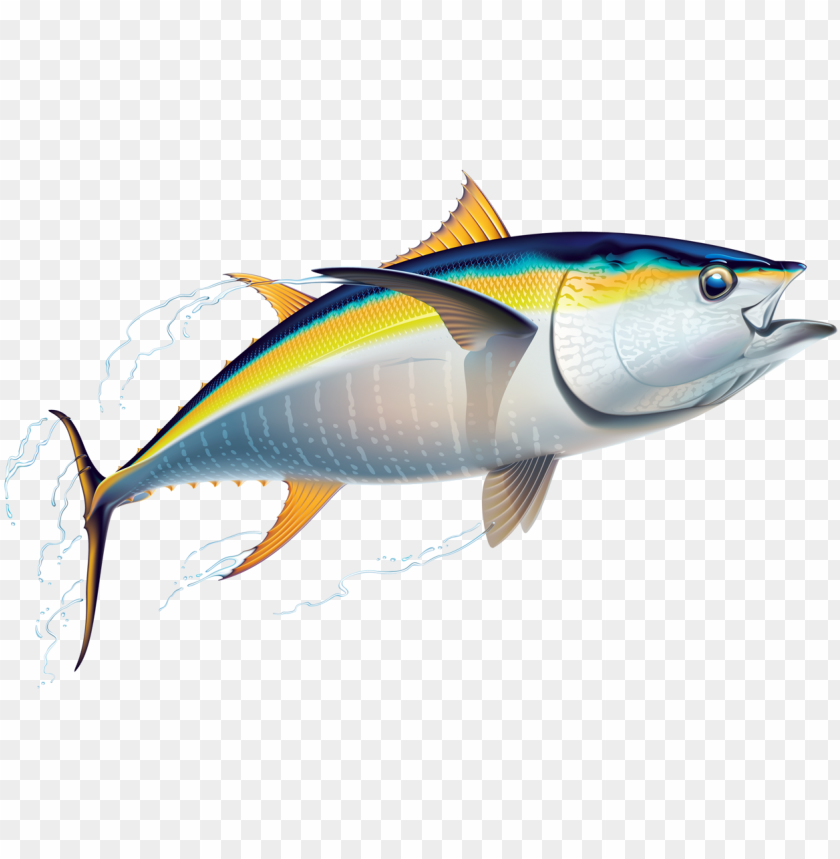 Detail Tuna Fish Png Nomer 17