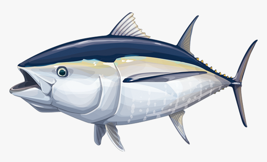 Detail Tuna Fish Png Nomer 21