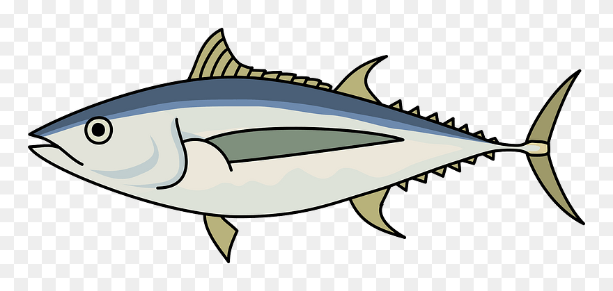 Detail Tuna Fish Png Nomer 31