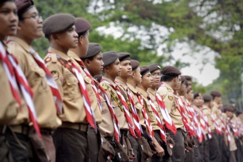 Detail Tunas Kelapa Pramuka Coklat Nomer 35