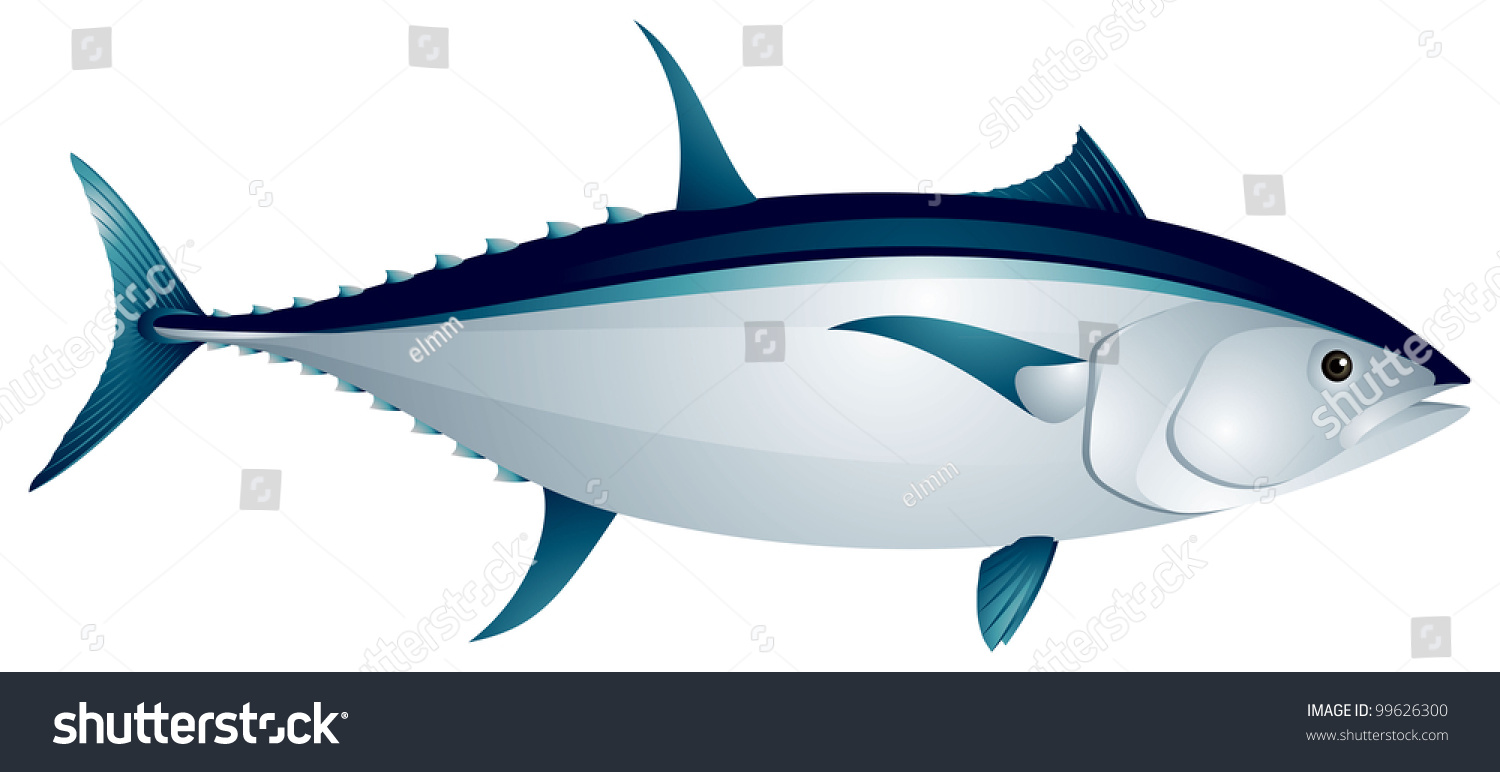 Detail Tunas Vector Nomer 14