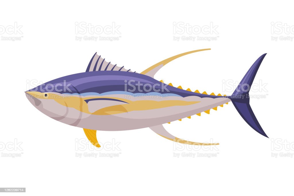 Detail Tunas Vector Nomer 18
