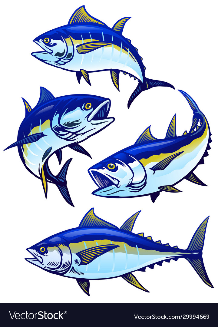 Detail Tunas Vector Nomer 19