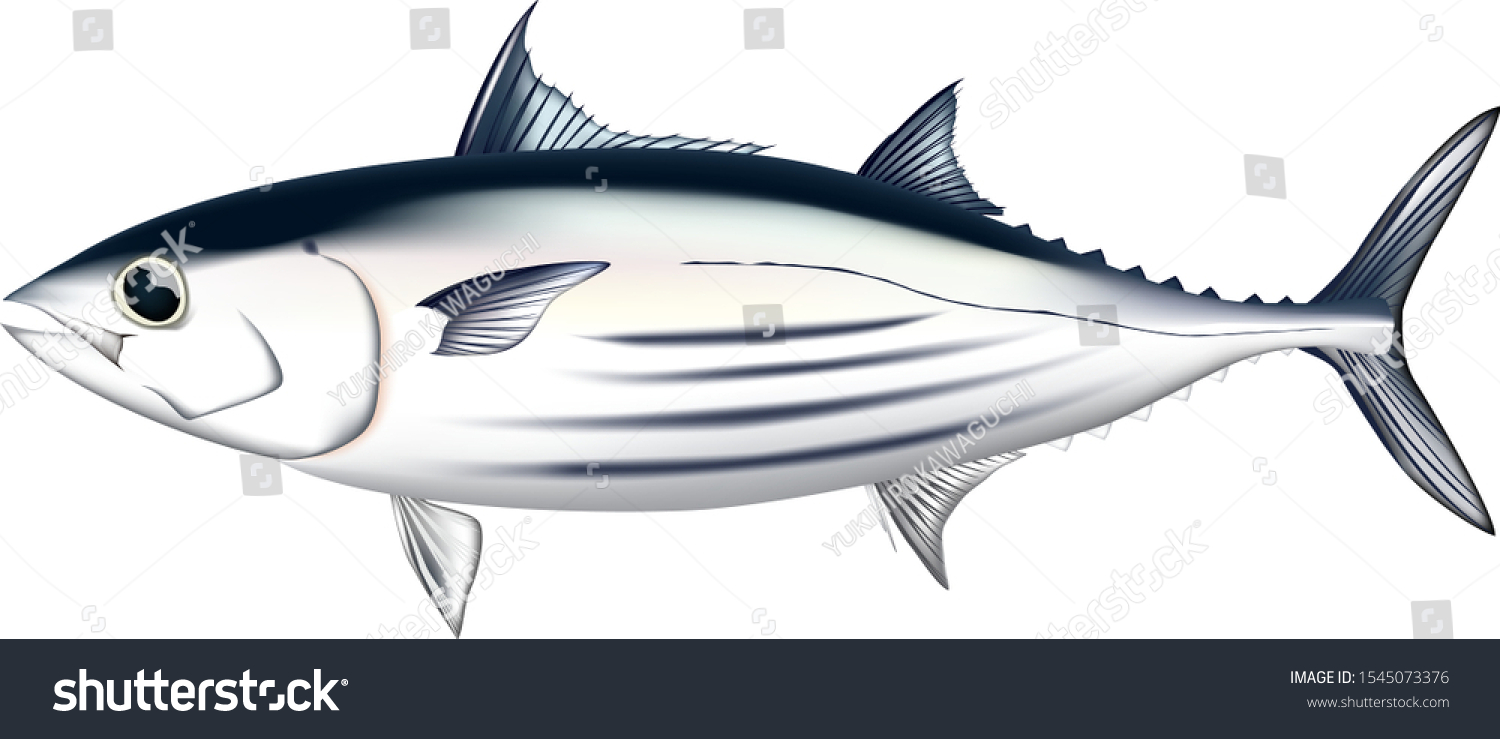 Detail Tunas Vector Nomer 22