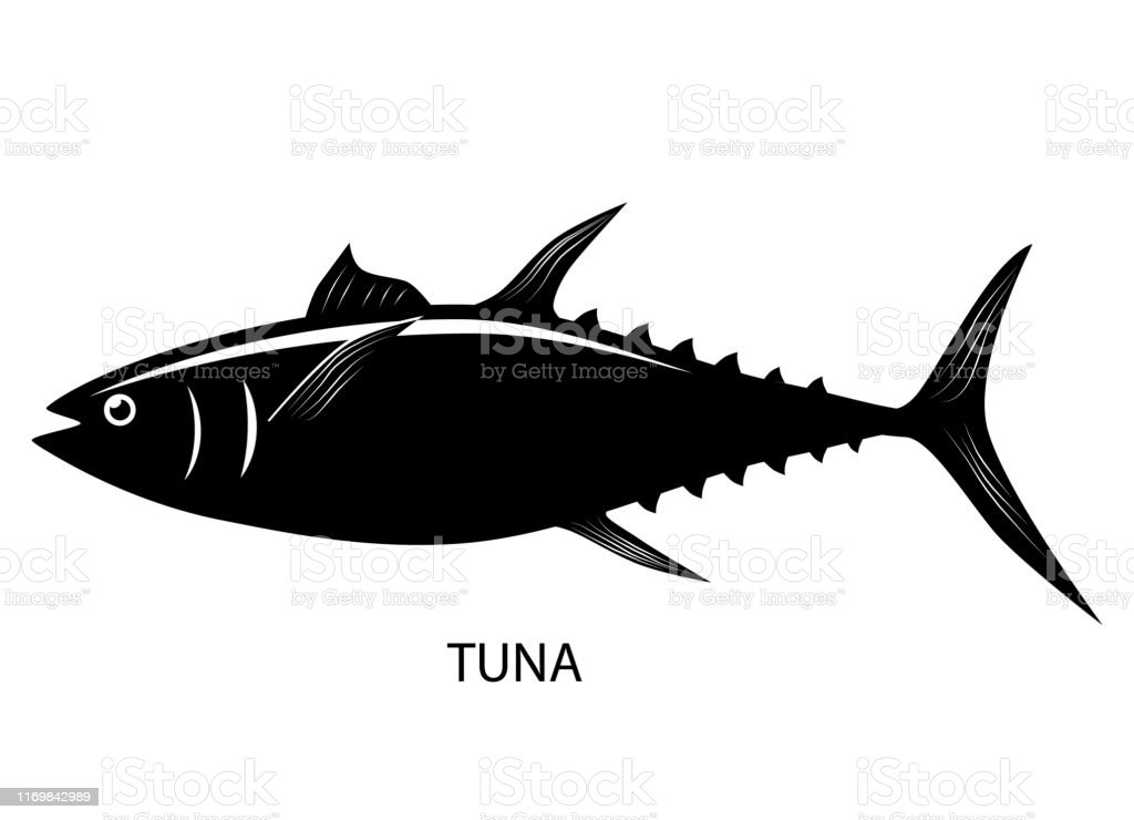 Detail Tunas Vector Nomer 25