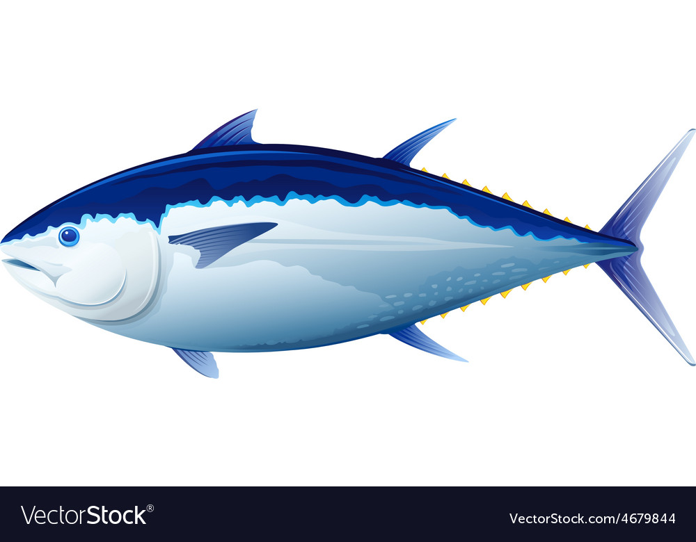 Detail Tunas Vector Nomer 4
