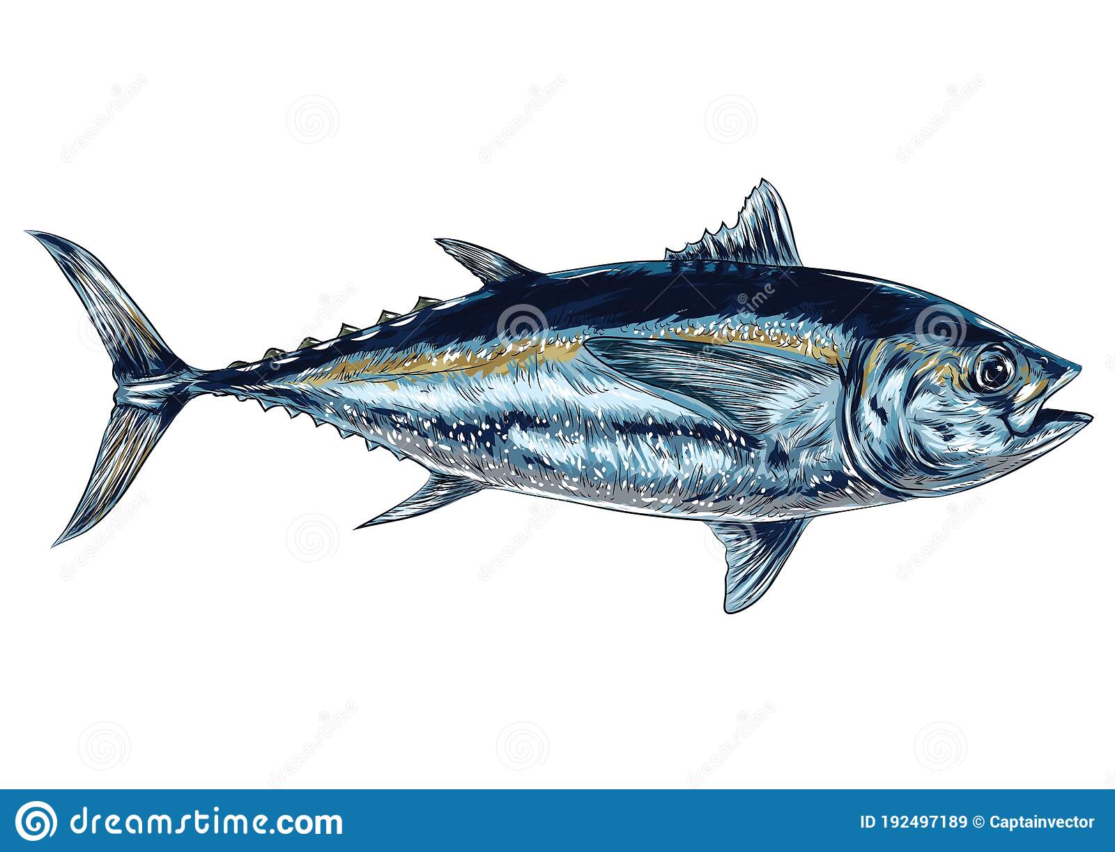 Detail Tunas Vector Nomer 30
