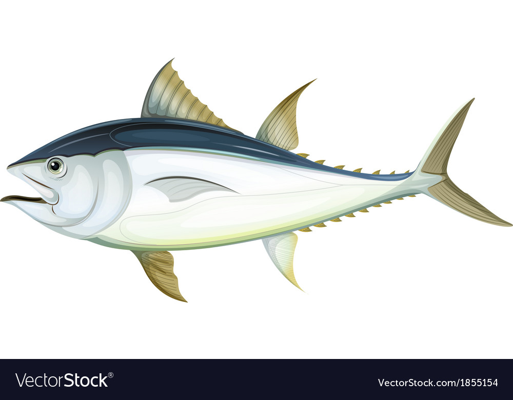 Detail Tunas Vector Nomer 5
