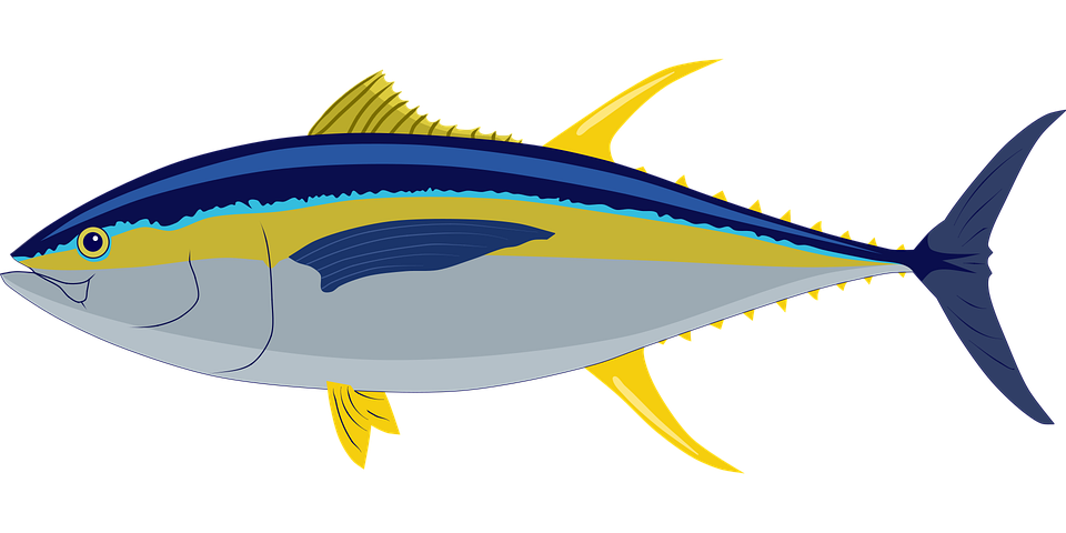 Detail Tunas Vector Nomer 40