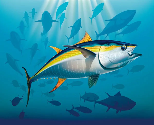 Detail Tunas Vector Nomer 46