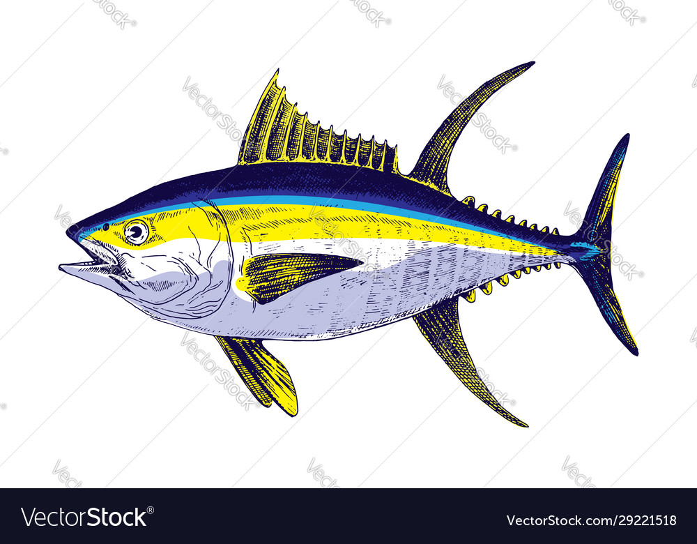 Detail Tunas Vector Nomer 6
