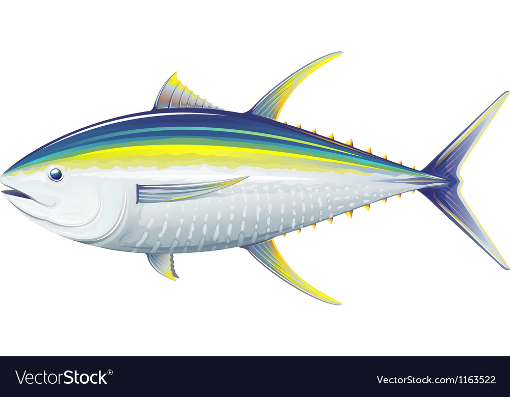 Detail Tunas Vector Nomer 8