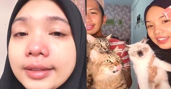 Detail Tunjukkan Gambar Kucing Nomer 50