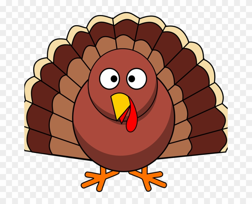 Turkey Bird Clipart - KibrisPDR