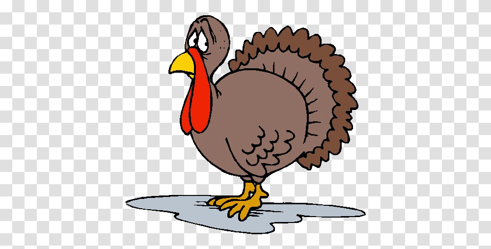 Detail Turkey Bird Clipart Nomer 12