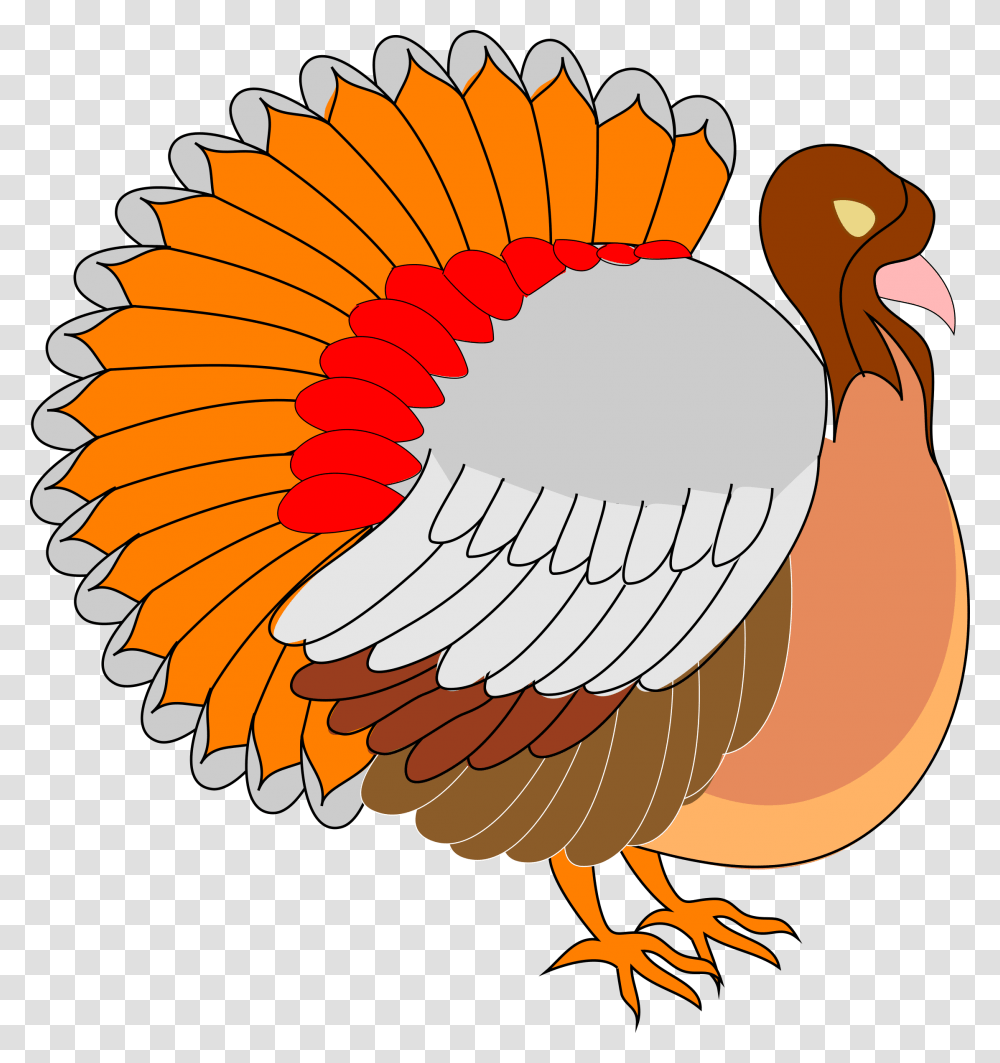 Detail Turkey Bird Clipart Nomer 15