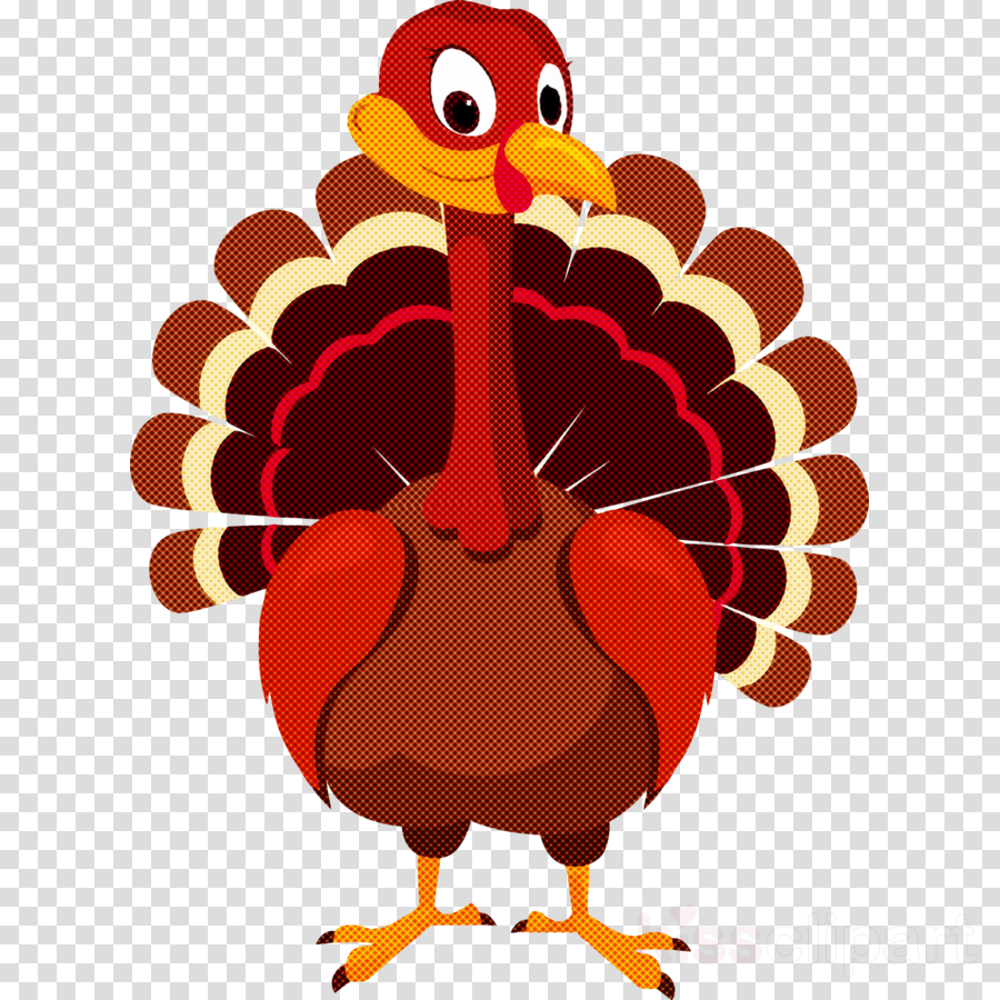 Detail Turkey Bird Clipart Nomer 18