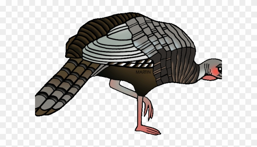 Detail Turkey Bird Clipart Nomer 25