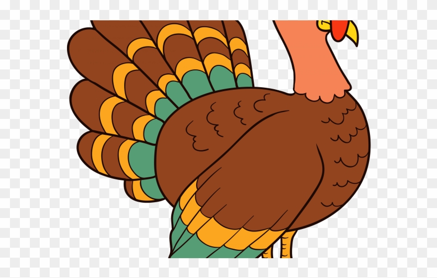 Detail Turkey Bird Clipart Nomer 4