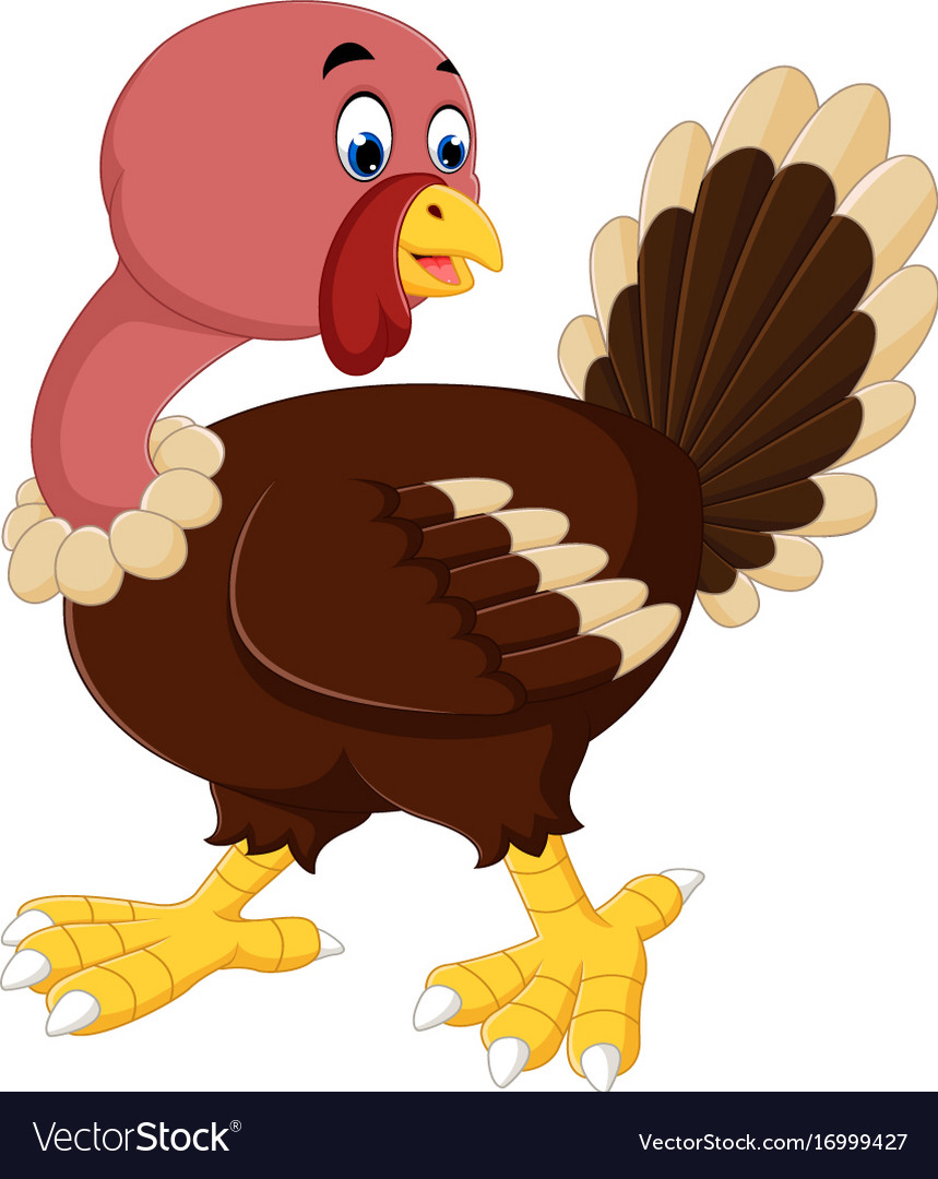 Detail Turkey Bird Clipart Nomer 48