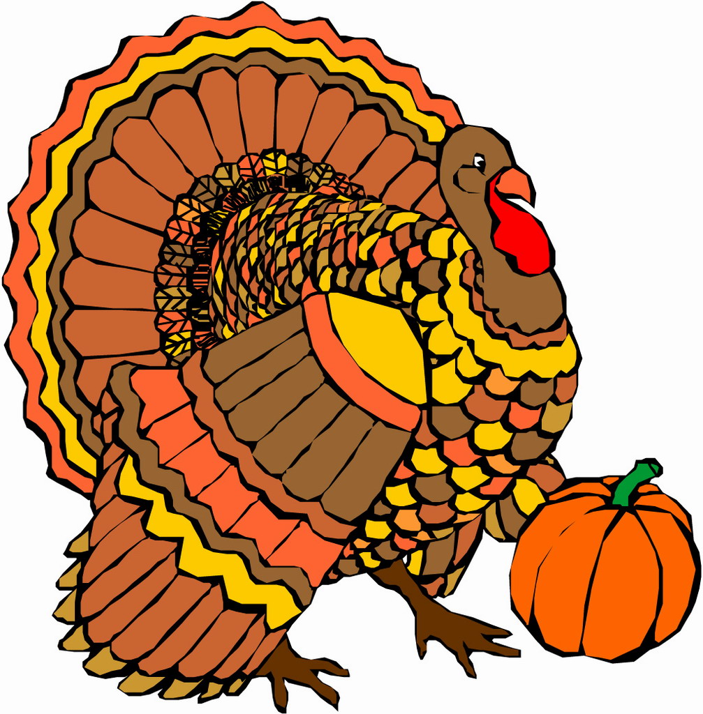 Detail Turkey Bird Clipart Nomer 50