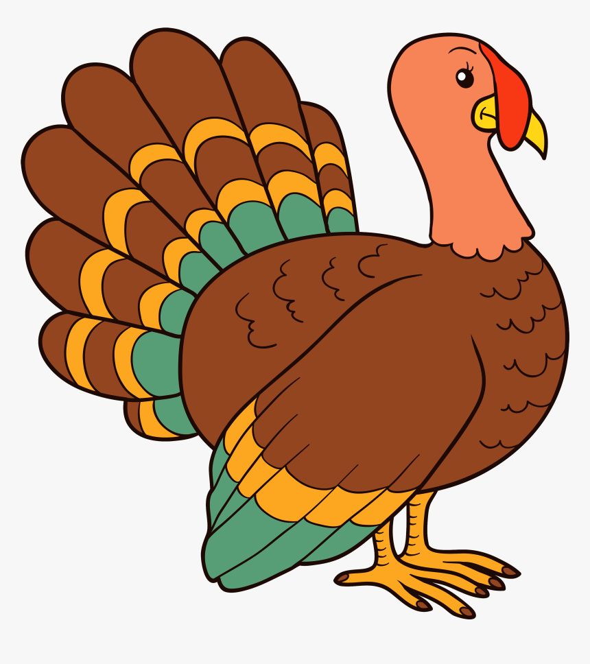 Detail Turkey Clipart Transparent Background Nomer 5