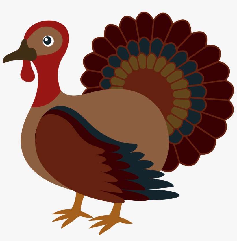 Detail Turkey Clipart Transparent Background Nomer 17