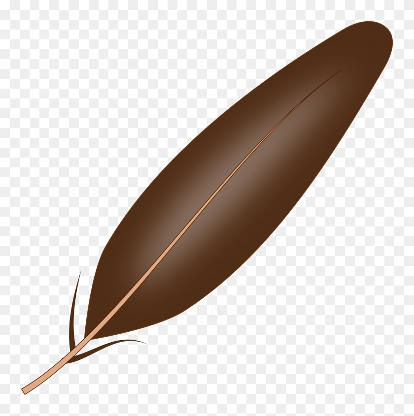 Detail Turkey Feather Clipart Nomer 21