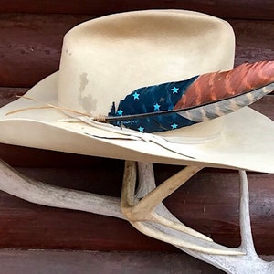 Detail Turkey Feather For Cowboy Hat Nomer 23